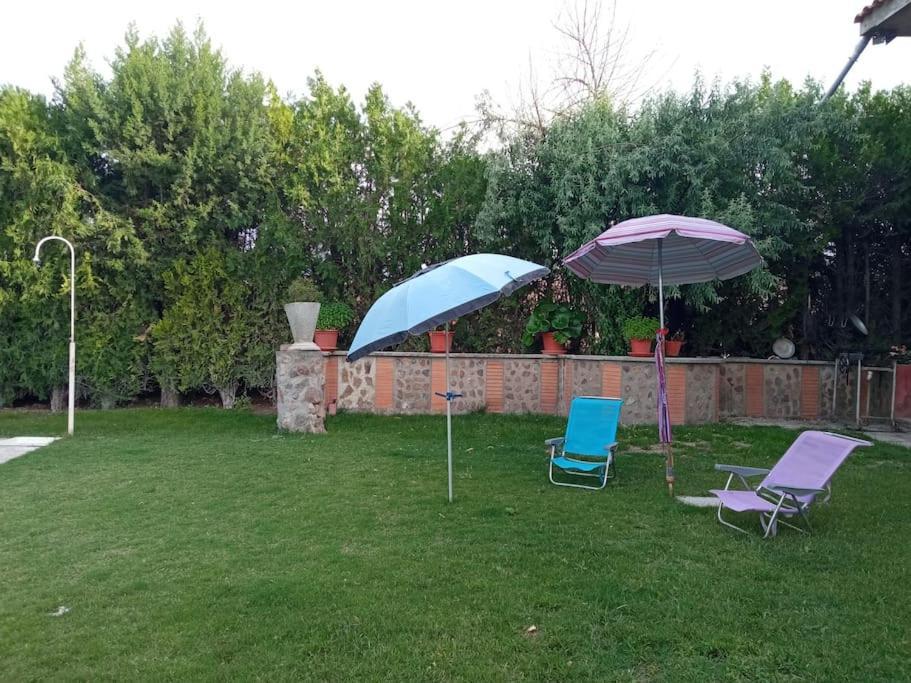 Finca Denunez Villa La Mata  Dış mekan fotoğraf