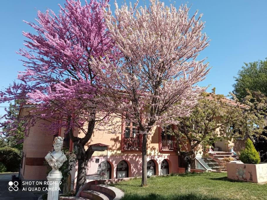 Finca Denunez Villa La Mata  Dış mekan fotoğraf