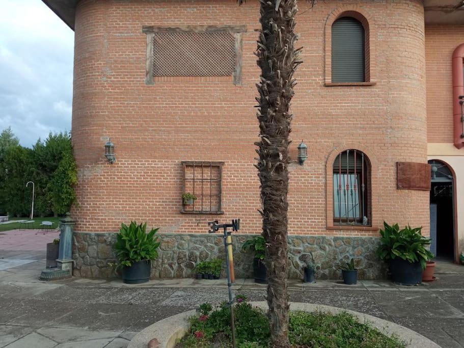 Finca Denunez Villa La Mata  Dış mekan fotoğraf
